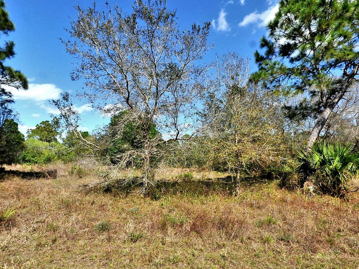 Nocturn St Property Photo