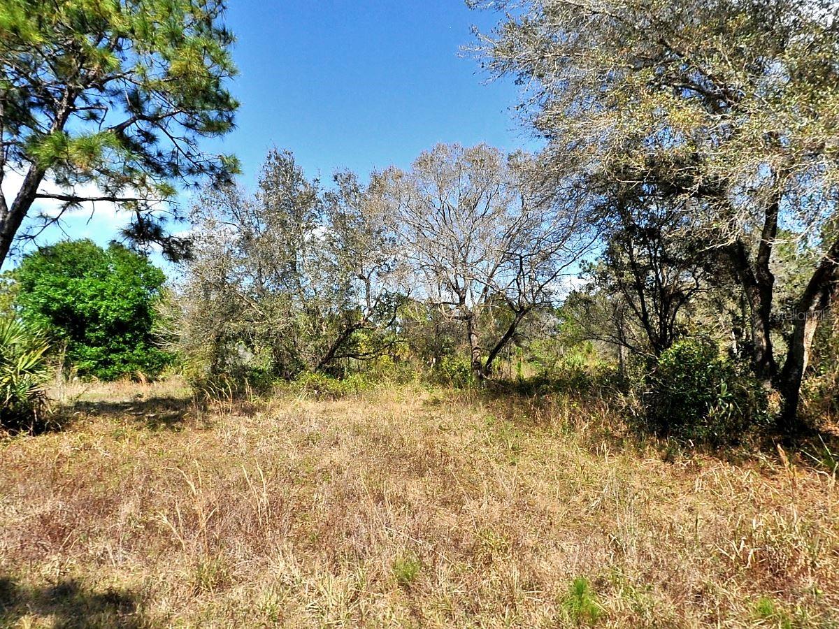 Nocturn St Property Photo