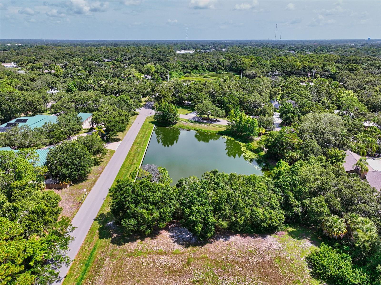 4737 Stone Ridge Trl Property Photo 49