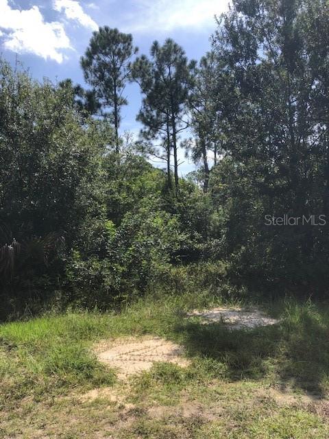 13340 Cappy Ter Property Photo 2