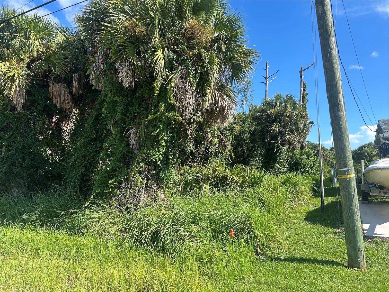 9041 Fruitland Ave Property Photo 2