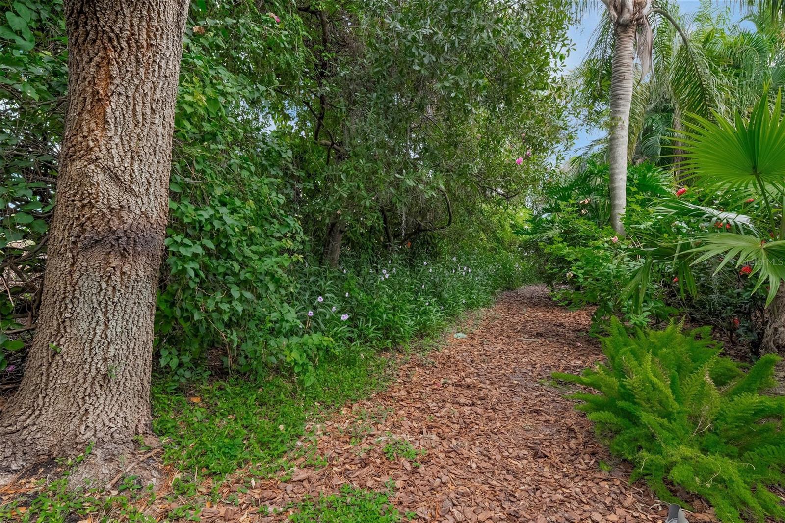 3711 Eagle Hammock Dr Property Photo 45