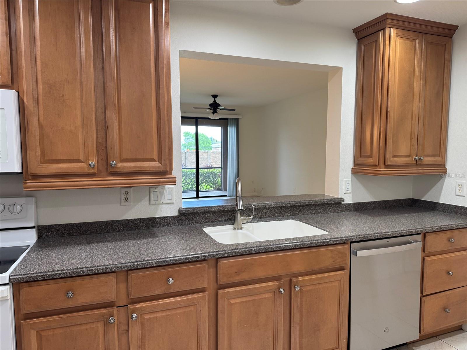 4037 Overture Cir #4037 Property Photo 37