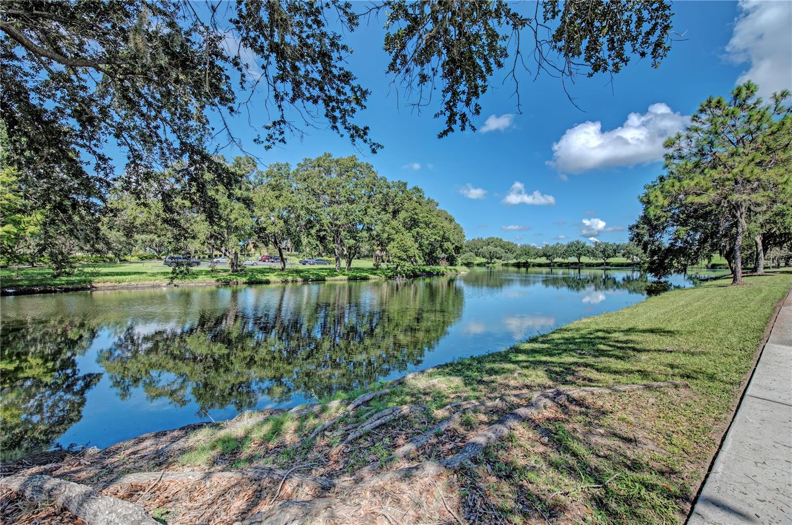 6622 Oakbrooke Cir Property Photo 45