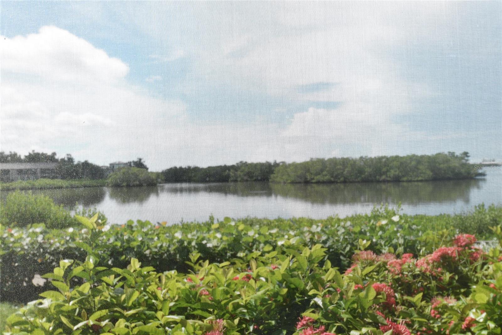 1520 Pelican Point Dr #ba153 Property Photo 11