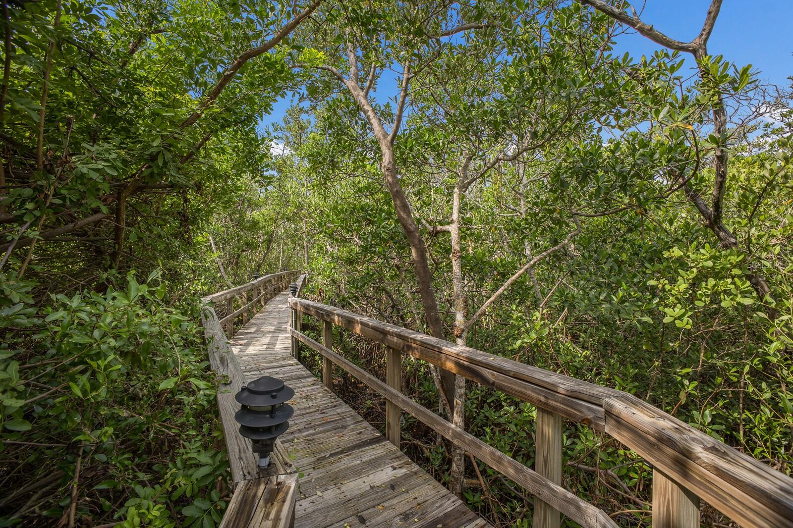 847 Evergreen Way Property Photo 32