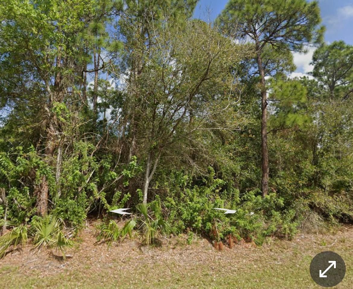 11410 11th Ave Property Photo 2