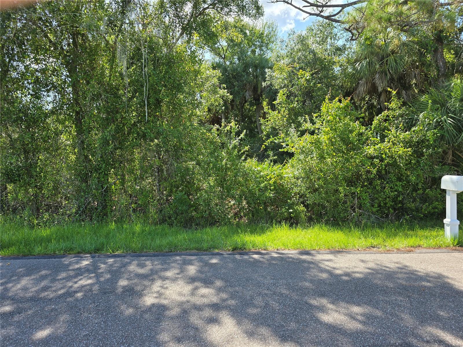 1235 Westport St Property Photo 1