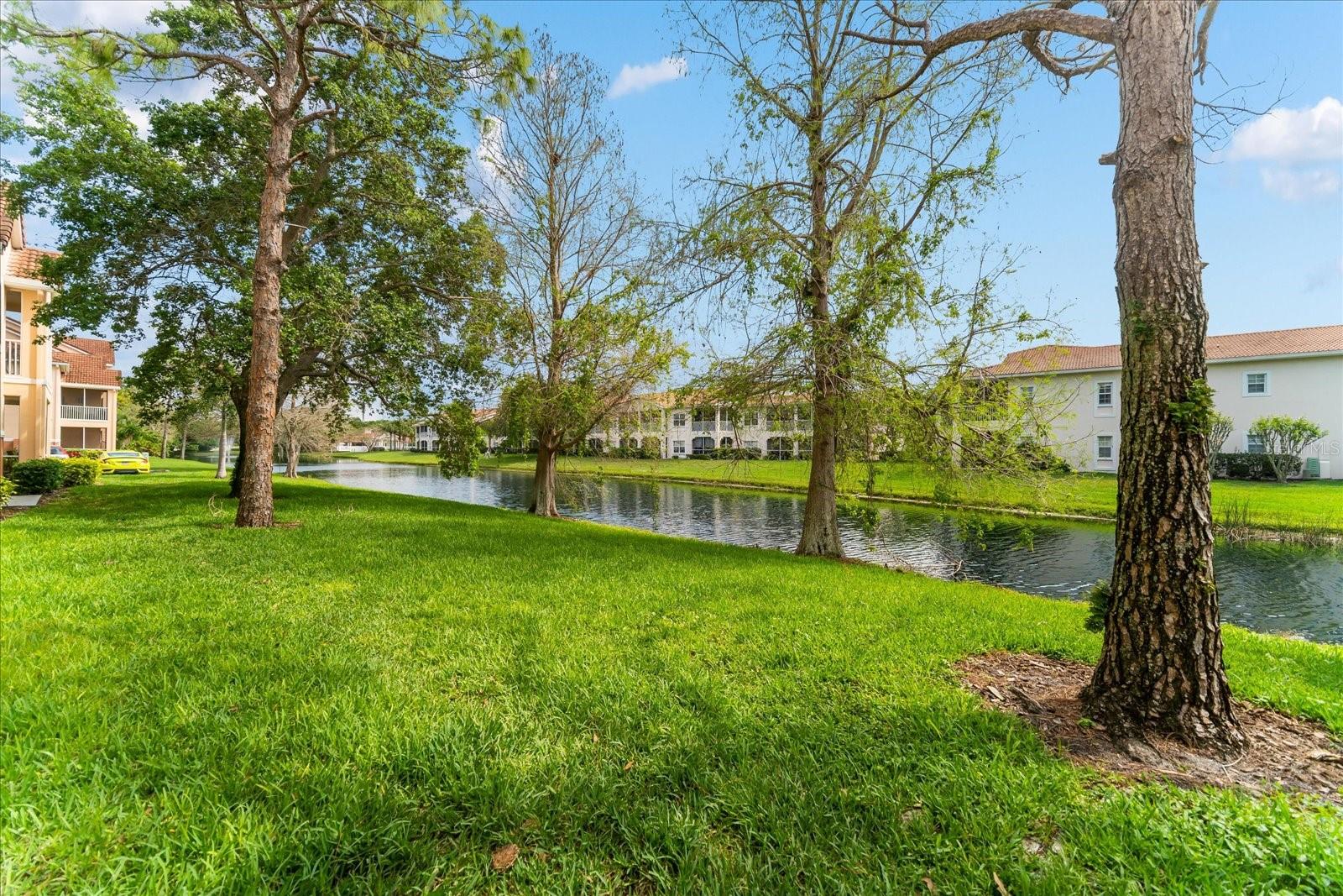 4106 Central Sarasota Pkwy #1015 Property Photo 52