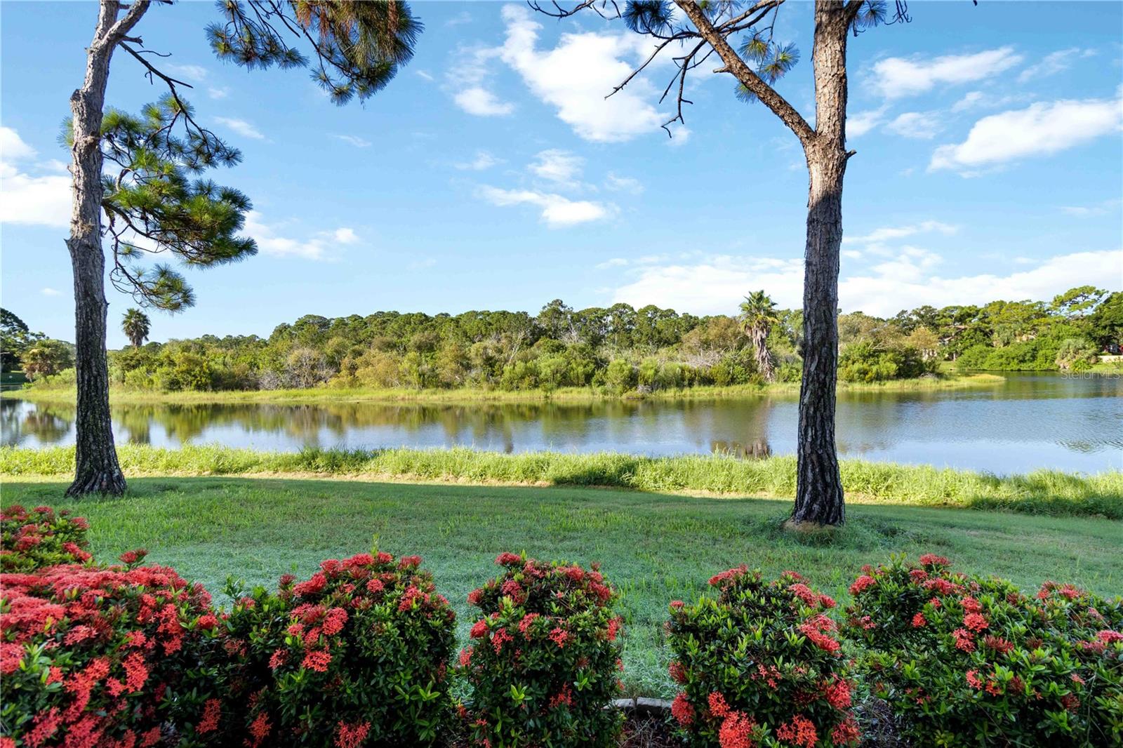 8350 Wingate Dr #917 Property Photo 30