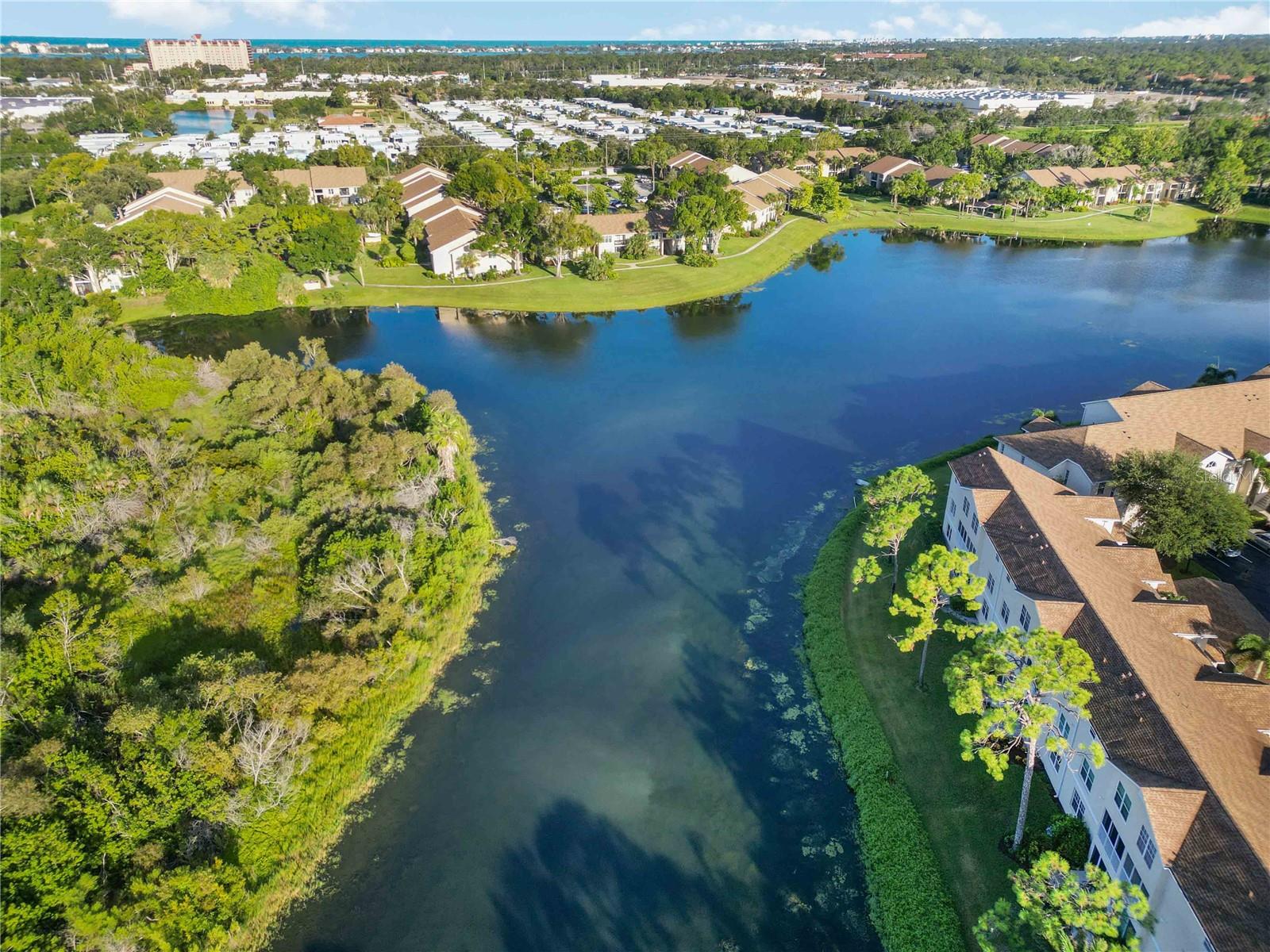 8350 Wingate Dr #917 Property Photo 43