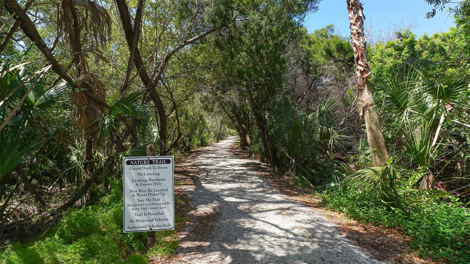 1603 Starling Dr #101 Property Photo 60