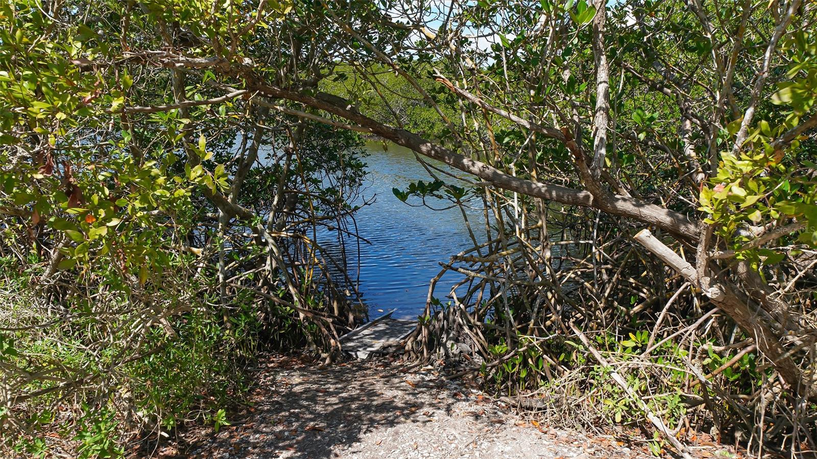 1603 Starling Dr #101 Property Photo 63