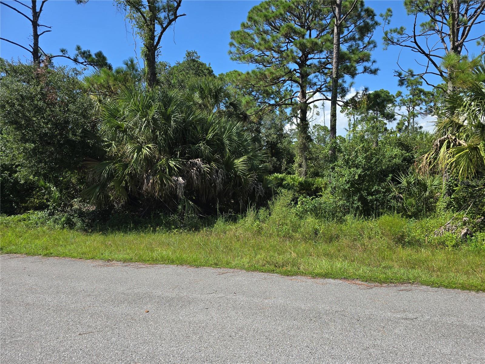 14506 CAROUSEL LN Property Photo 1