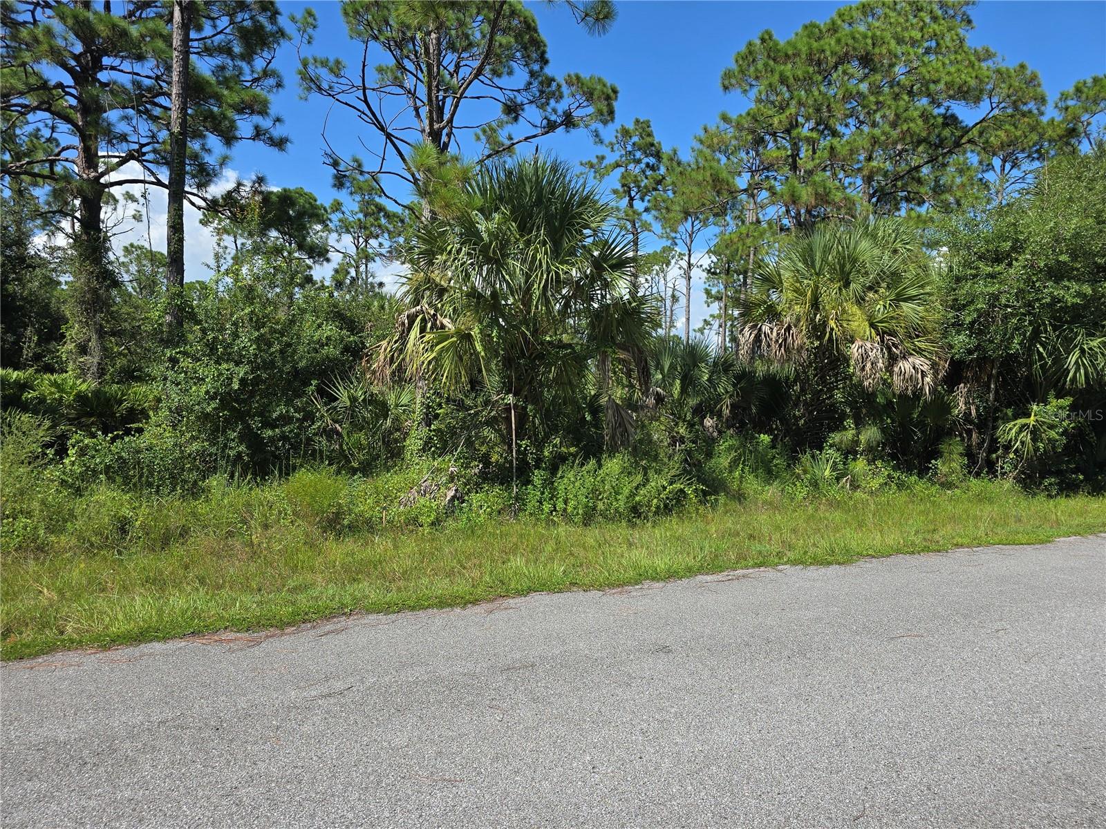 14506 Carousel Ln Property Photo 2