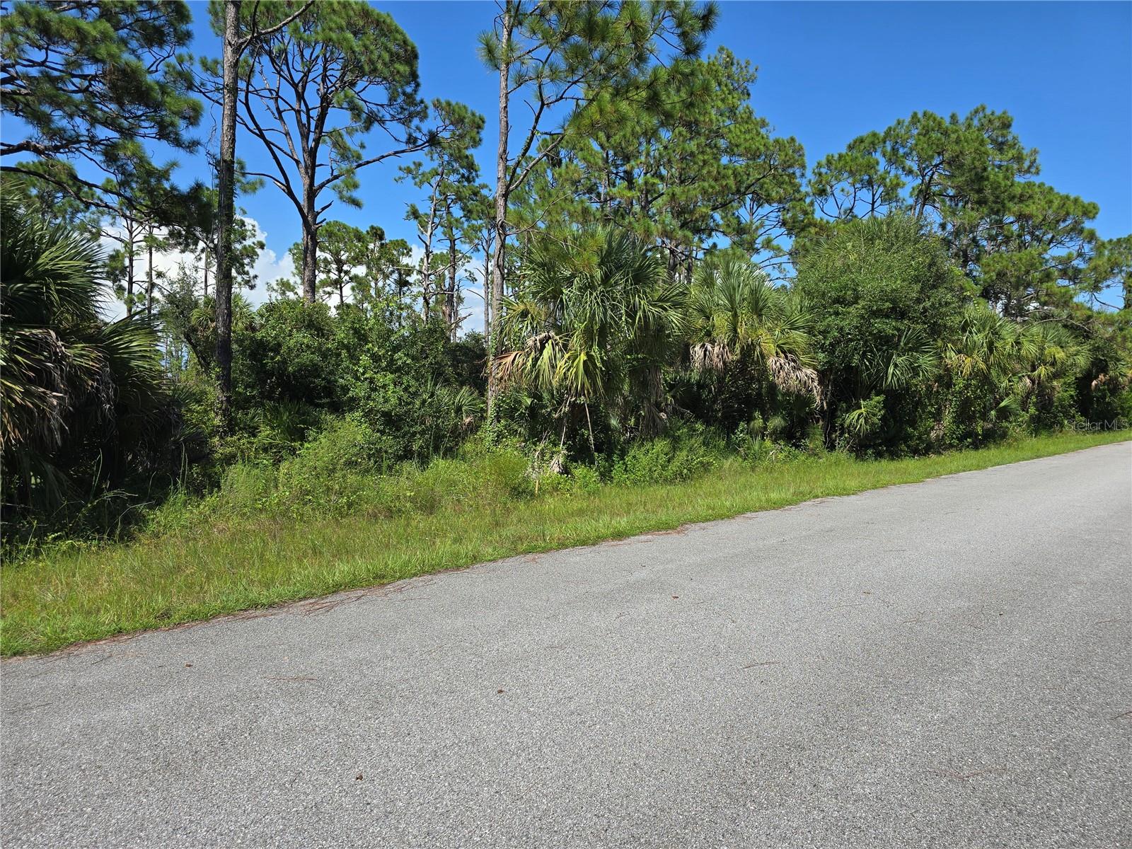 14506 Carousel Ln Property Photo 5