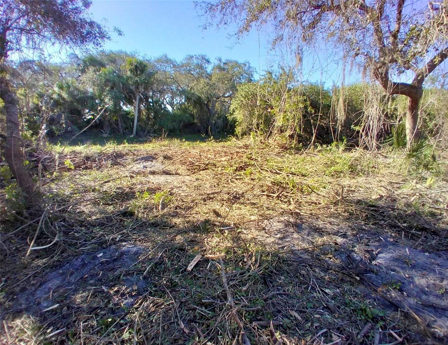 4193 Chippewa St Property Photo 1