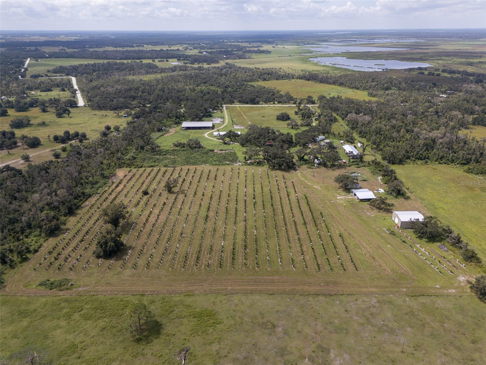 32715 Singletary Rd Property Photo 4