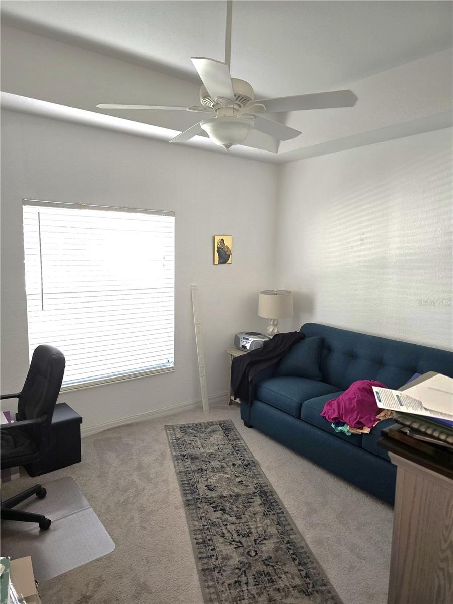 7343 Fountain Palm Cir #7343 Property Photo 8