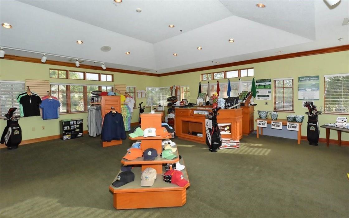 7343 Fountain Palm Cir #7343 Property Photo 19