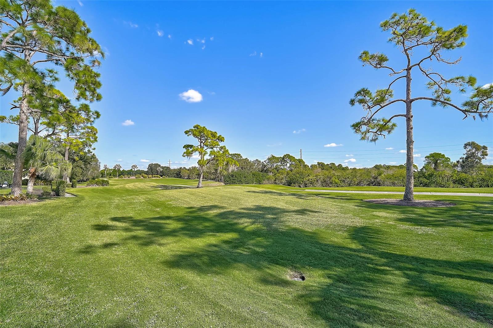 538 Dove Pointe Dr Property Photo 46