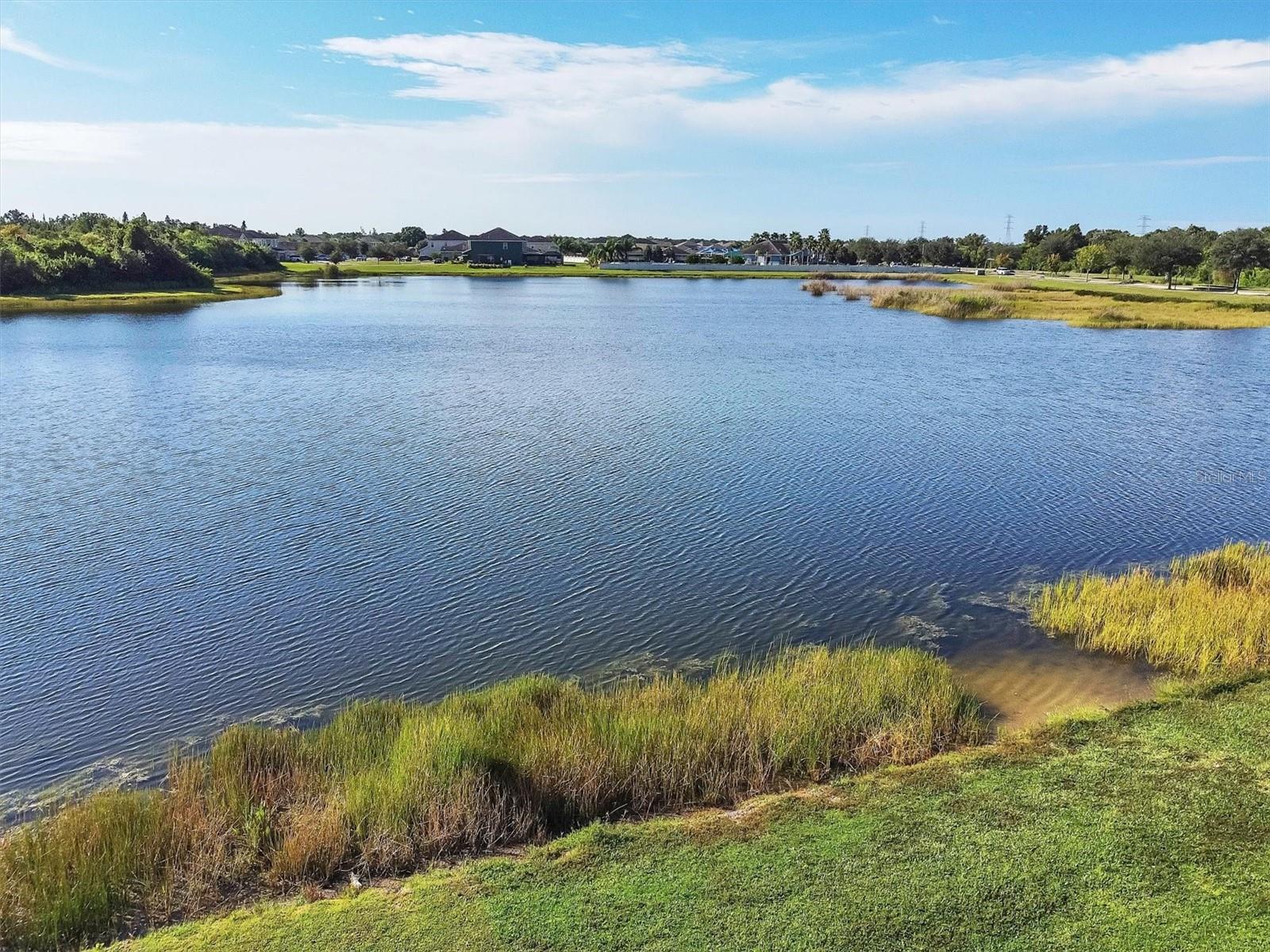 8117 Tar Hollow Dr Property Photo 29