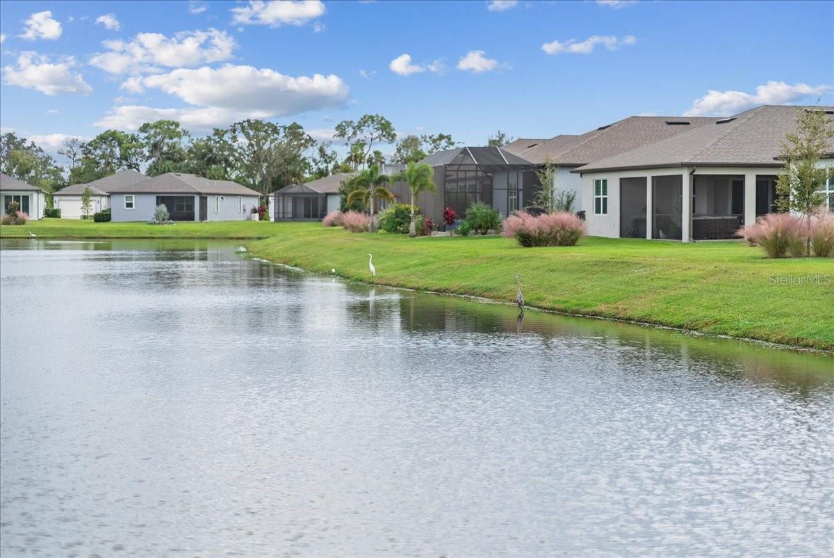 9434 Ballaster Pointe Loop Property Photo 44