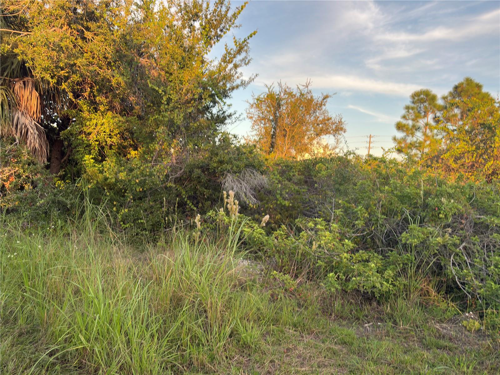 14251 Ingraham Blvd Property Photo 5