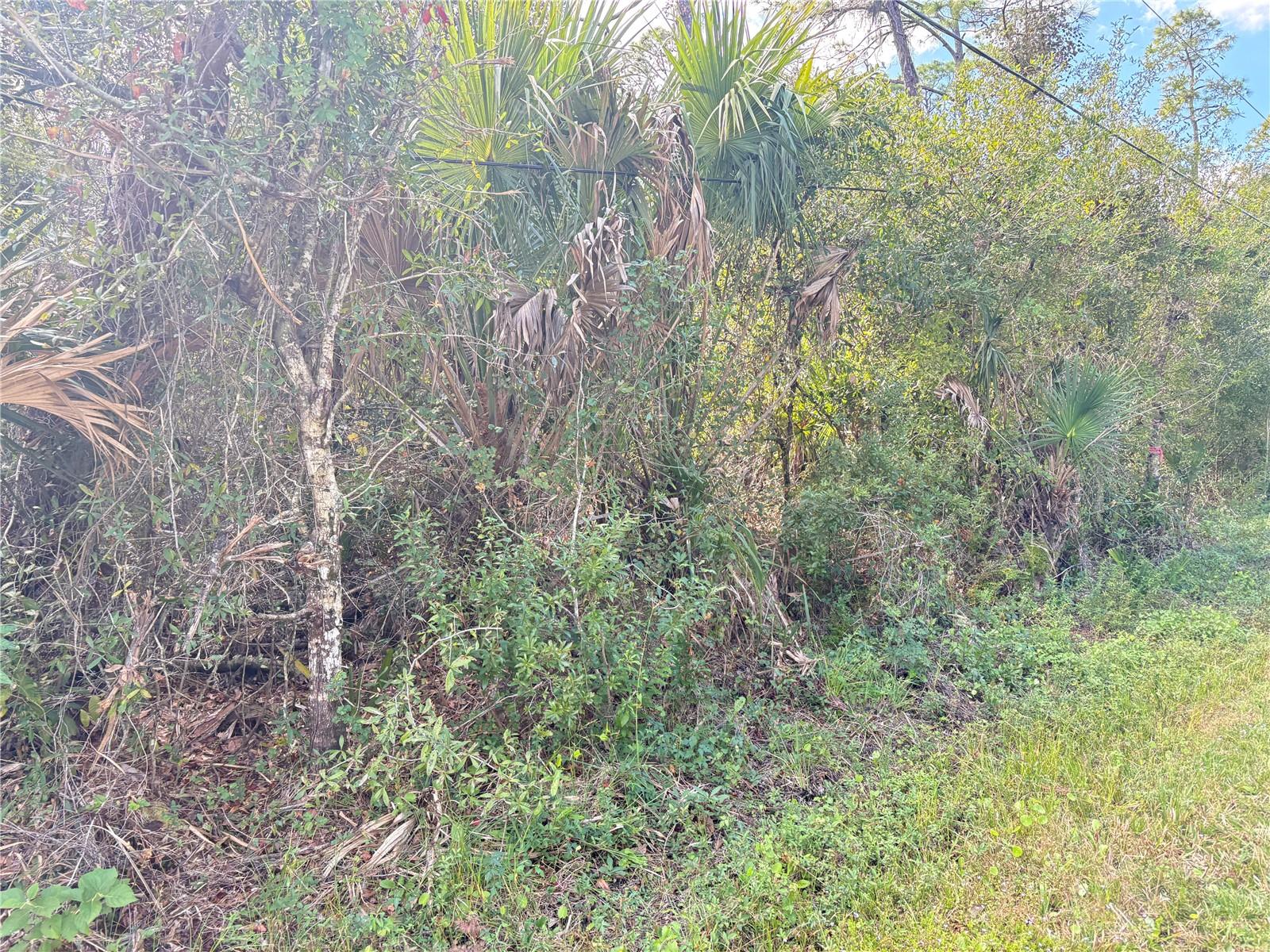 Cobbler Ln Property Photo 2