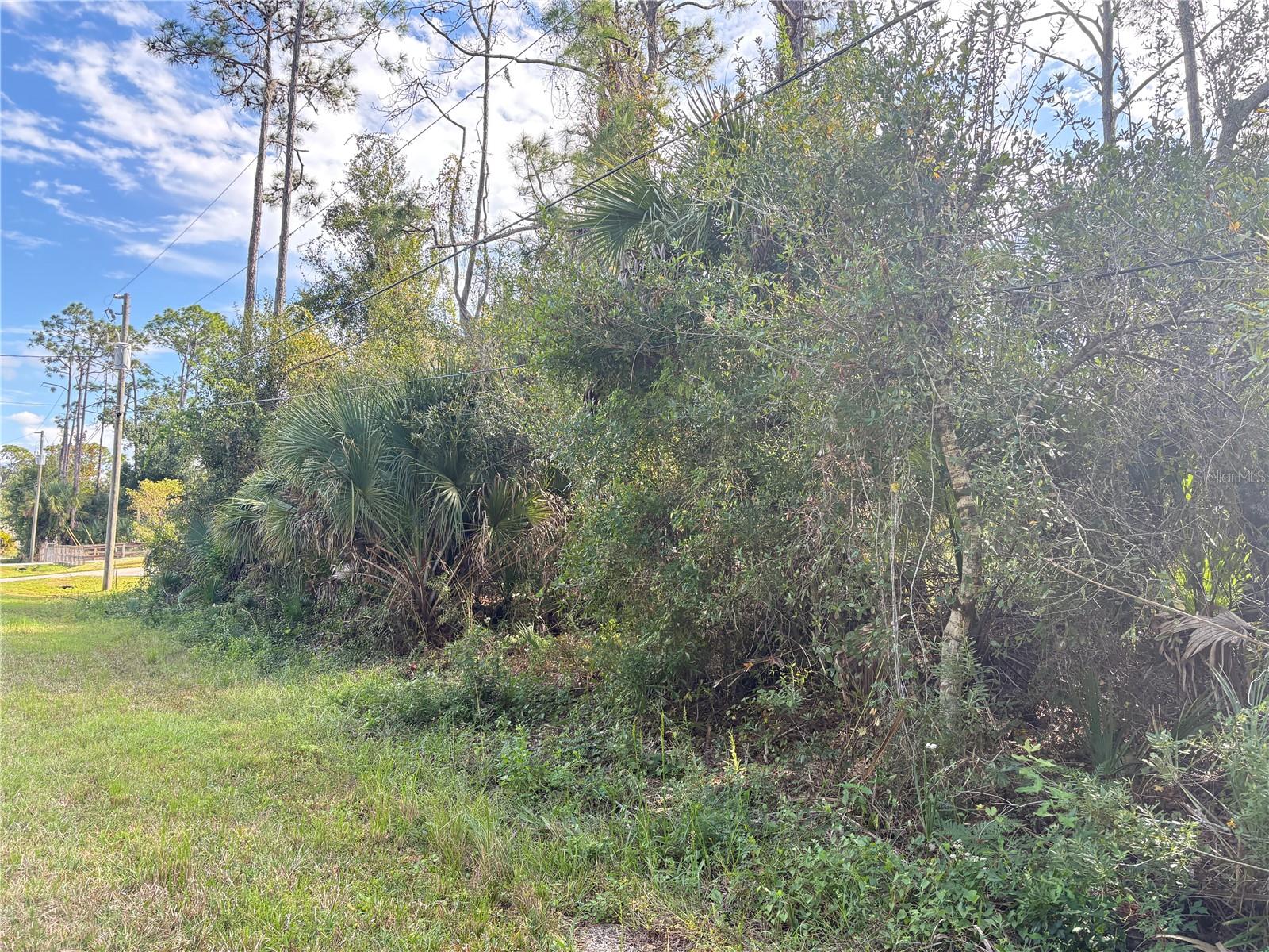 Cobbler Ln Property Photo 5