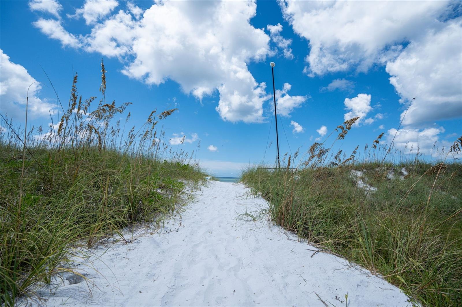 5855 Midnight Pass Rd #318 Property Photo 40