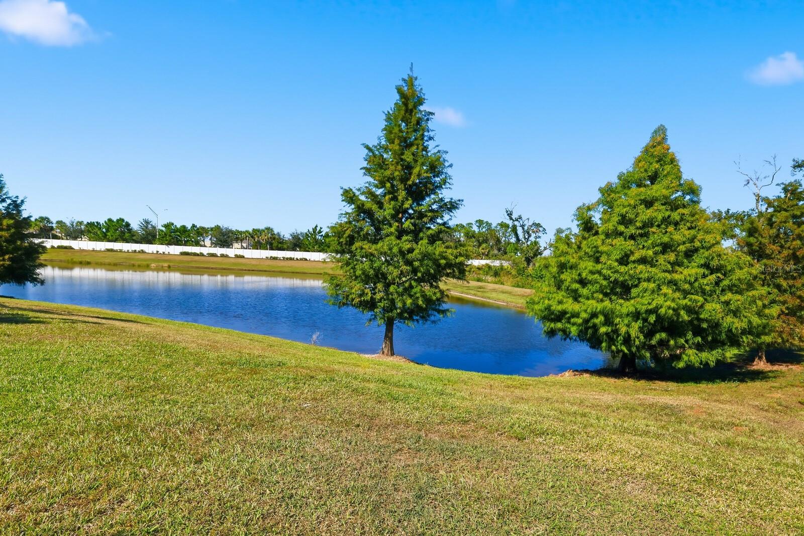 16113 Tradewind Ter Property Photo 50