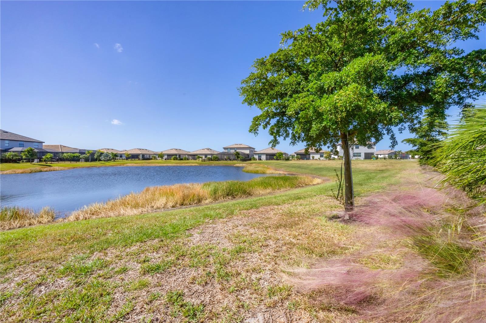 15716 Barefoot Beach Dr Property Photo 26