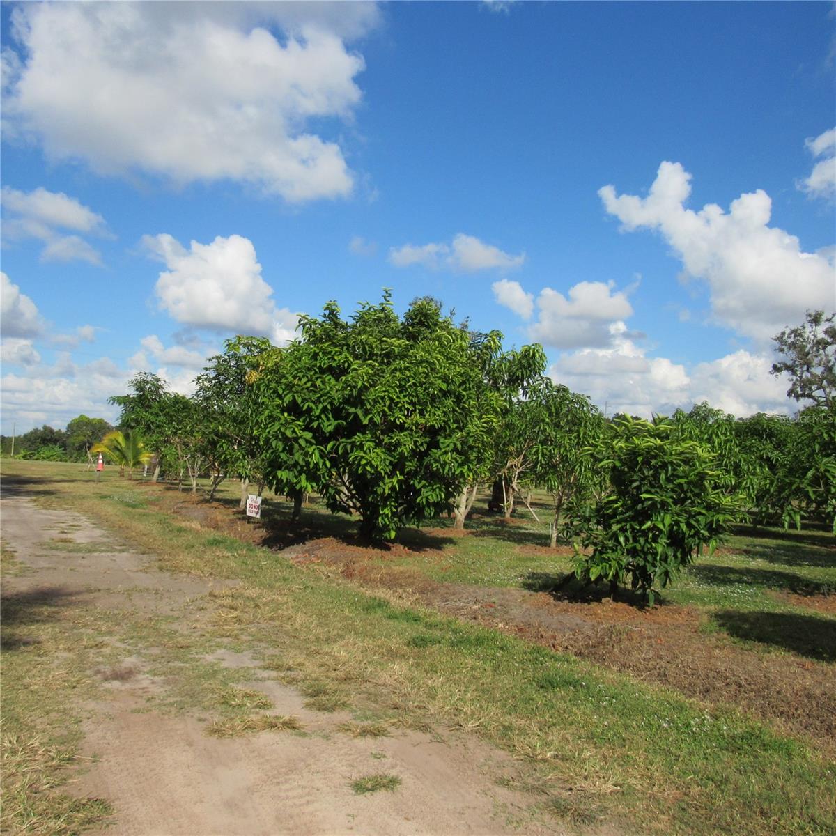 21552 E State Road 64 Property Photo 51