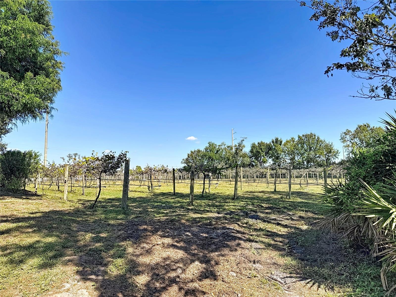 19600 E State Road 64 Property Photo 63
