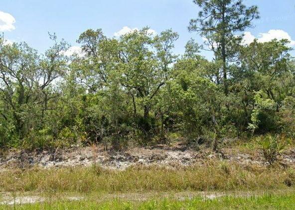978 ARCHIE SUMMERS RD Property Photo 1