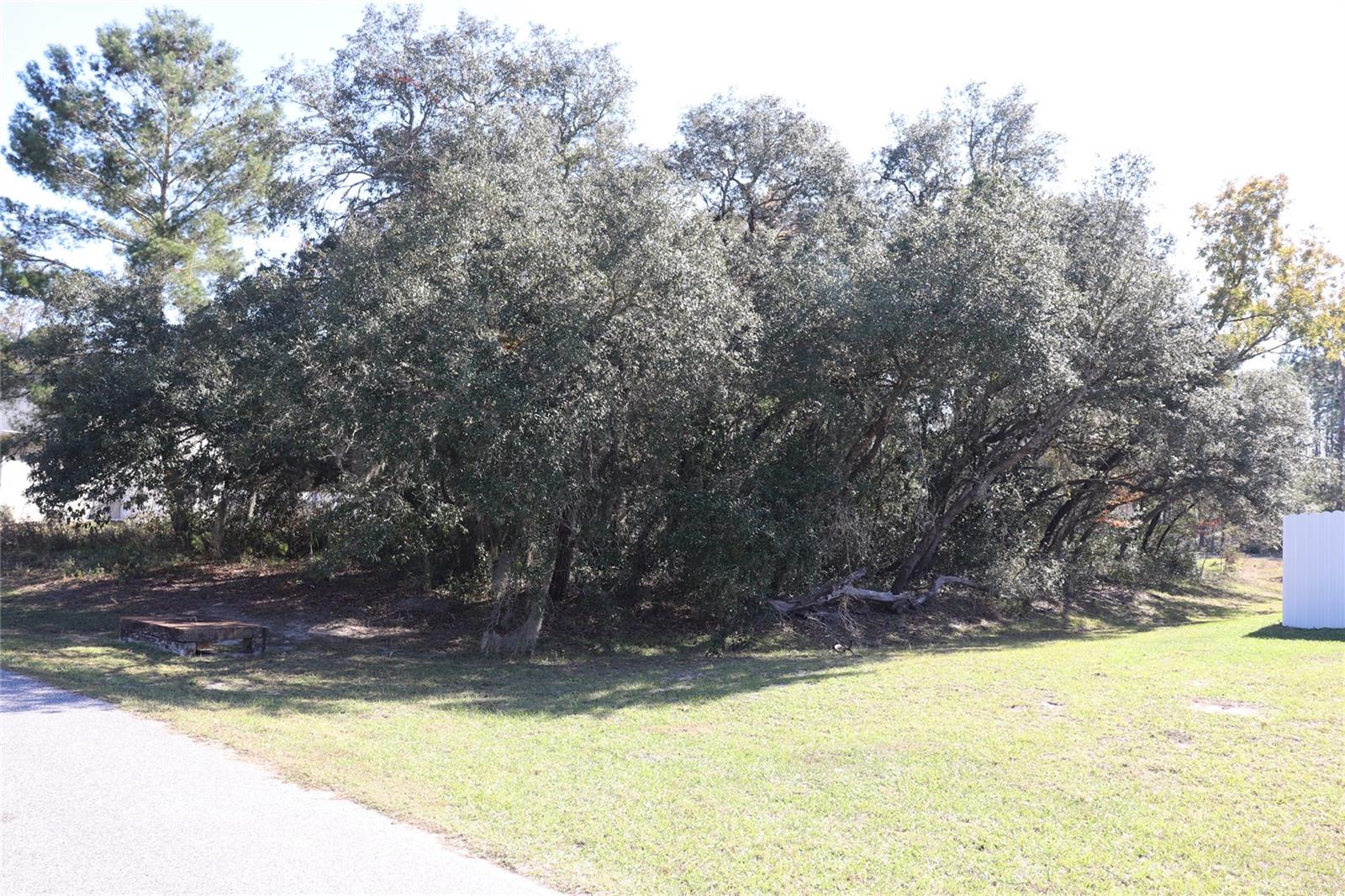 Tbd Sw 157th Street Property Photo 1