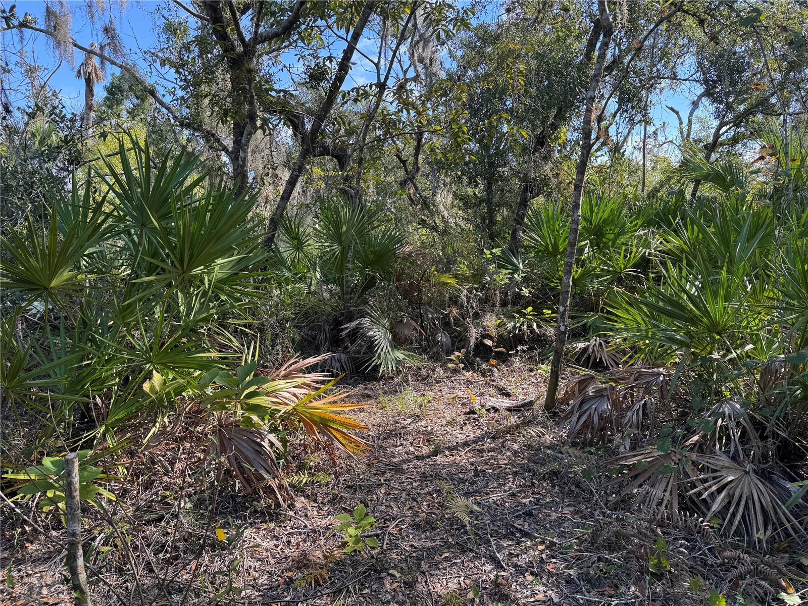 Upper Manatee River Rd Property Photo 9