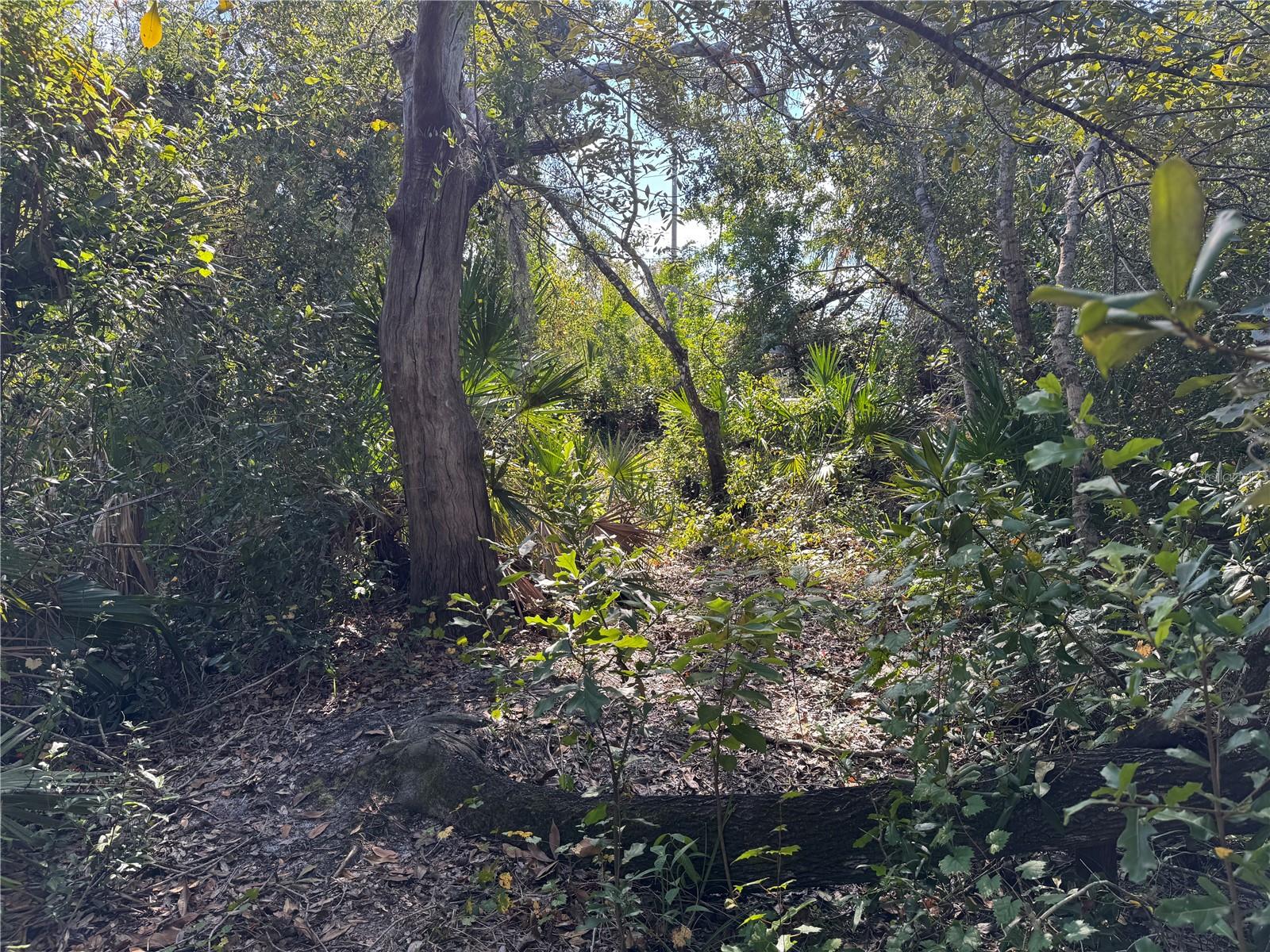 Upper Manatee River Rd Property Photo 12