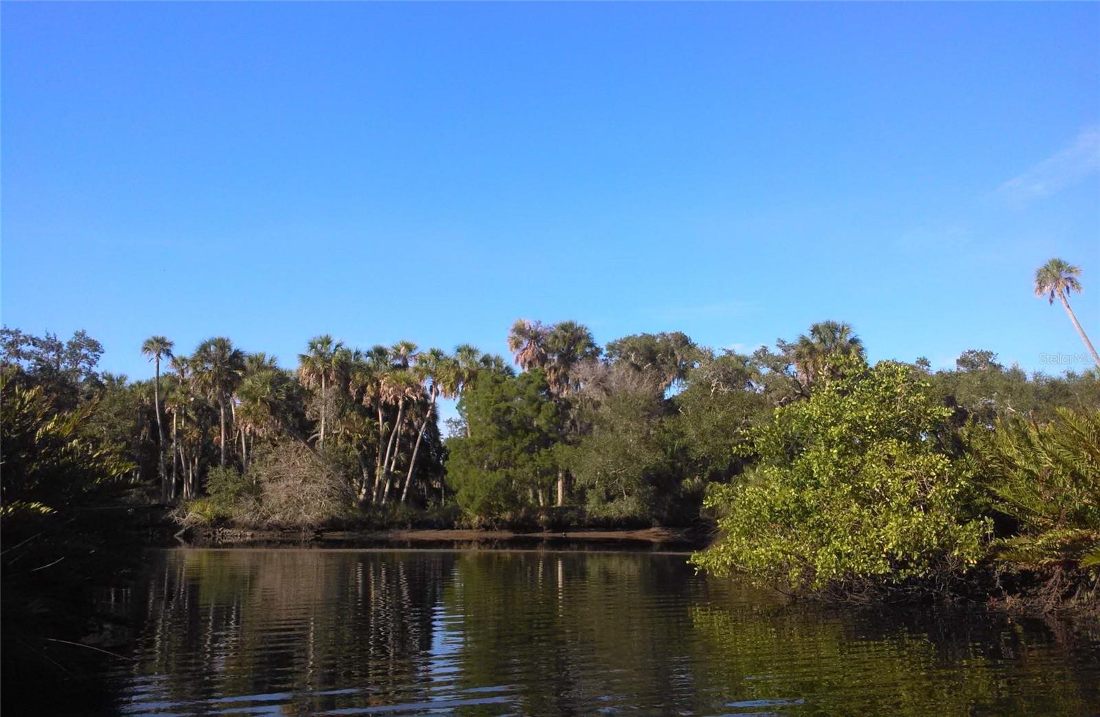 Upper Manatee River Rd Property Photo 19