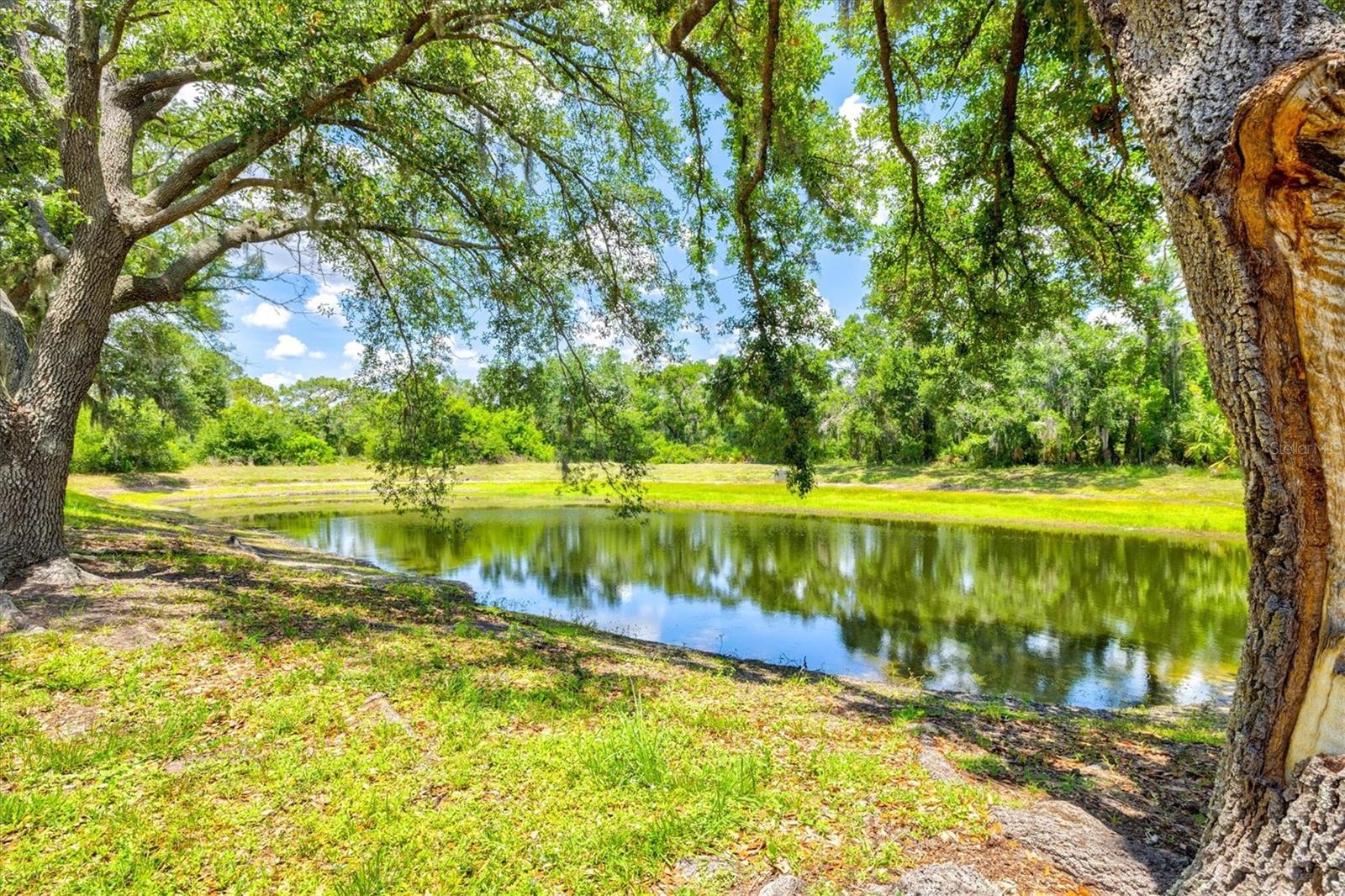 13609 18th Pl E Property Photo 83
