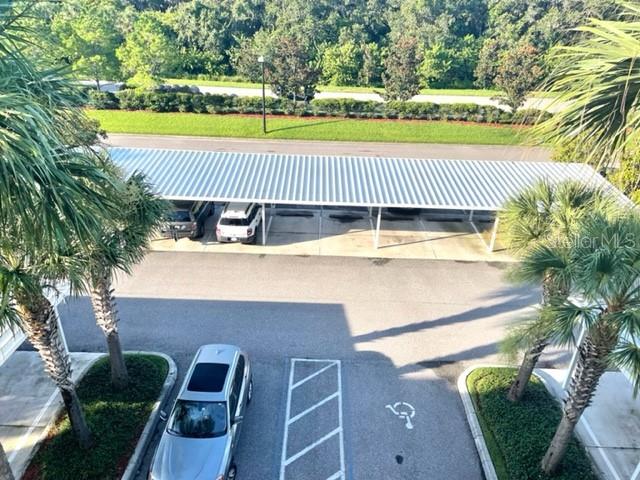 7019 River Hammock Dr #404 Property Photo 20