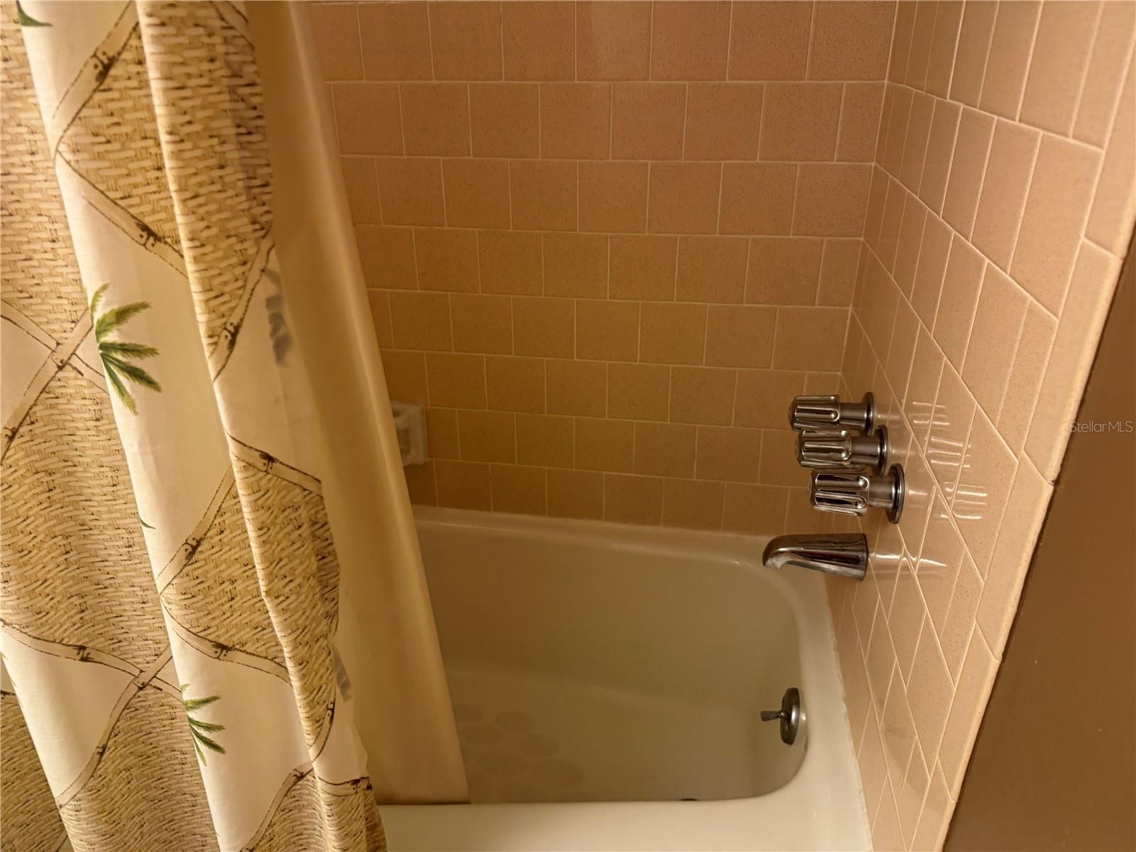 3124 Lake Bayshore Dr #219 Property Photo 47