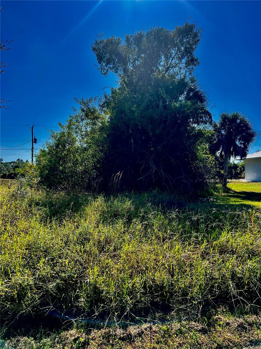 10245 Winstead Ave Property Photo 1