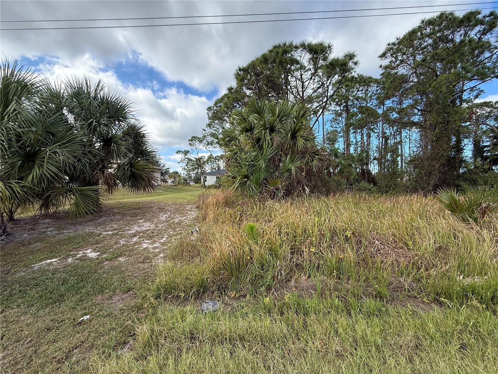 Jeannin Dr Property Photo 3