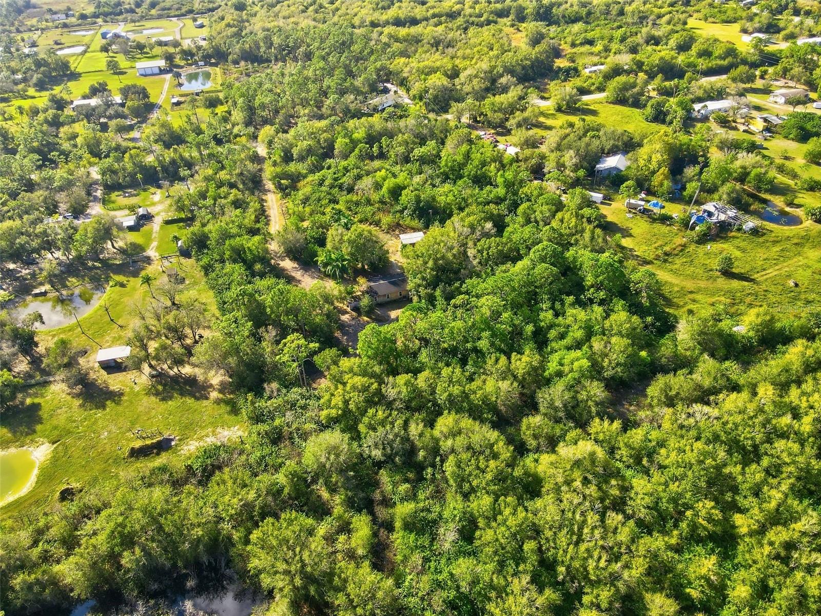 39970 Little Farm Rd Property Photo 6