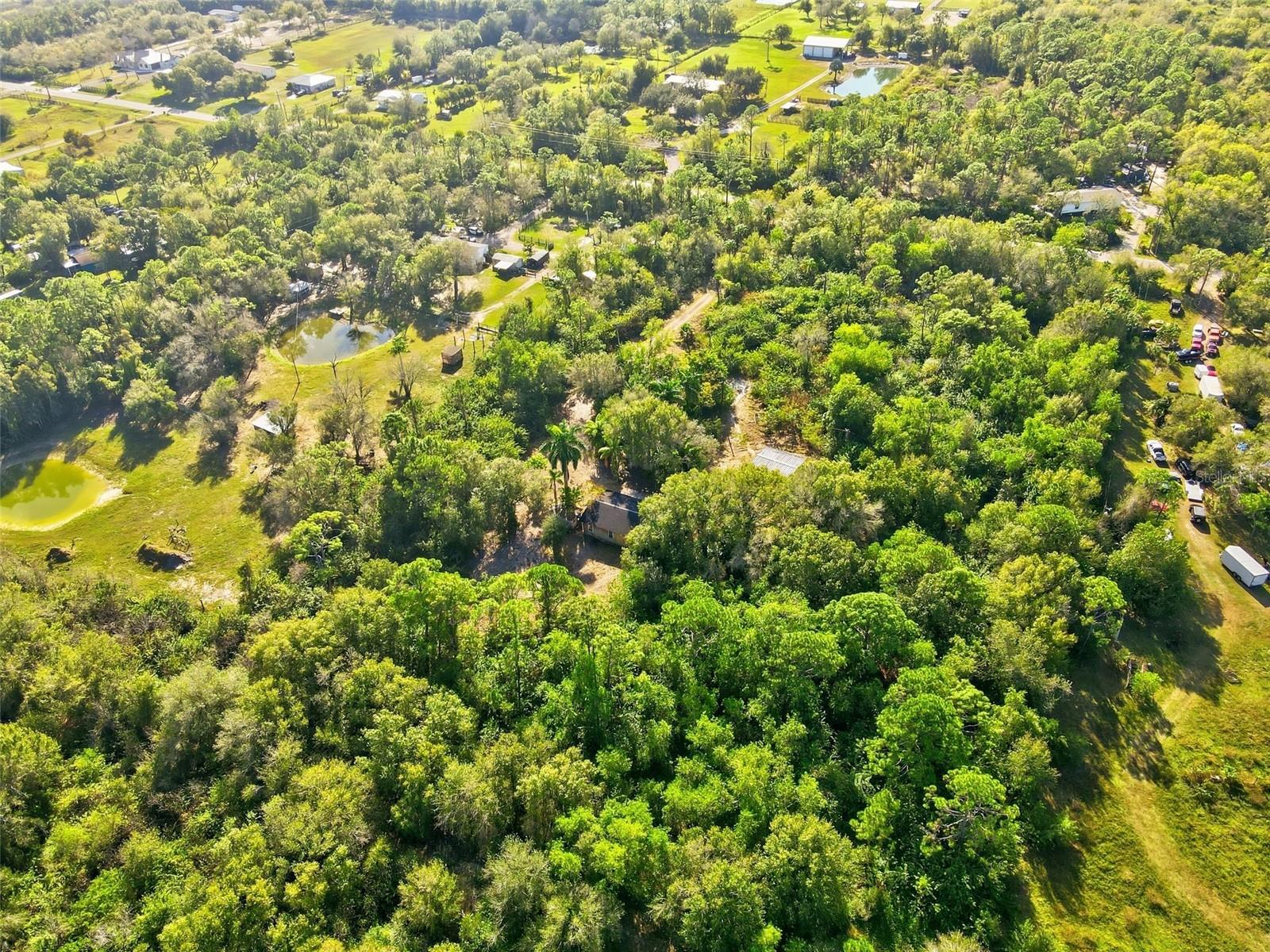 39970 Little Farm Rd Property Photo 20