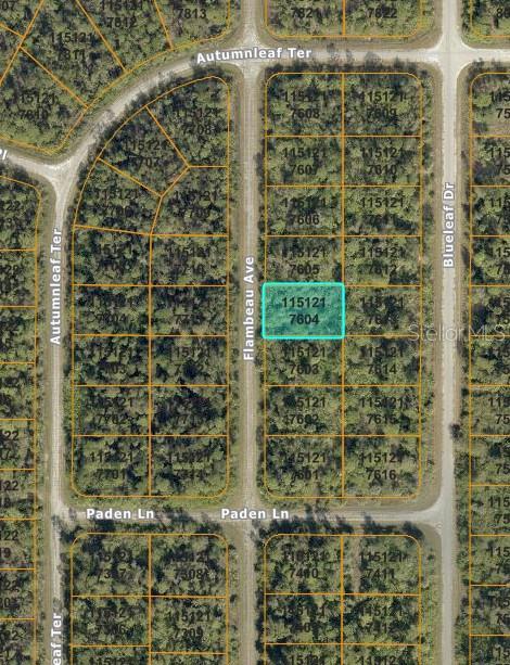 FLAMBEAU AVE Property Photo 1
