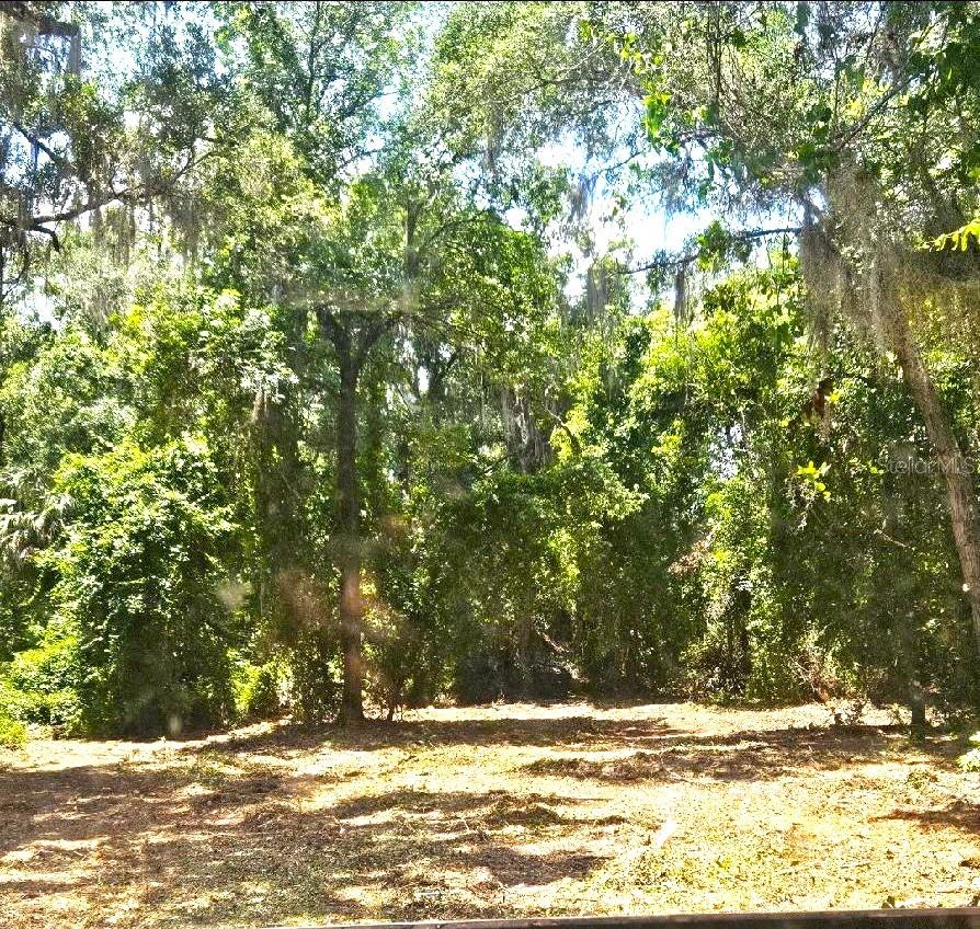 4300 Ne 175th Street Rd Property Photo 10