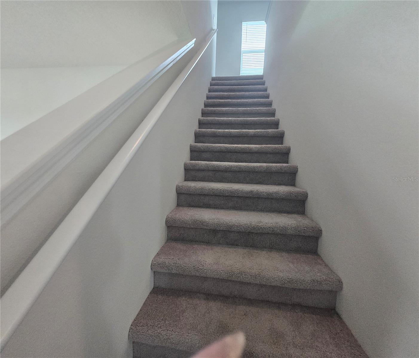 9431 Bella Mar Trl Property Photo 6